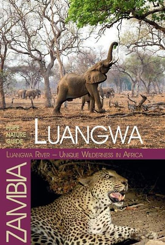 Luangwa River – Unique Wilderness in Africa
