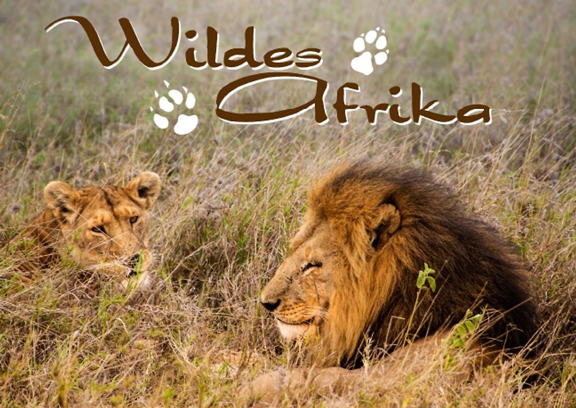 Wildes Afrika (Posterbuch DIN A4 quer)