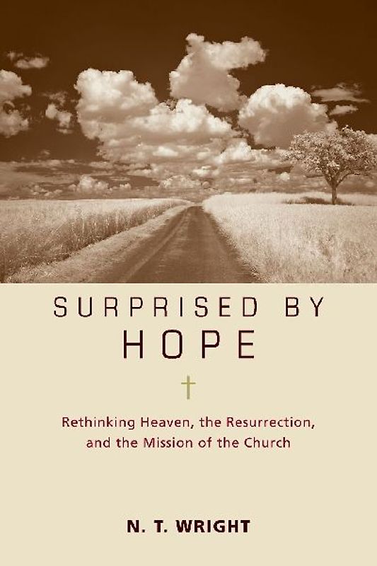 The Surprised by Hope Bible Study Participant's Guide