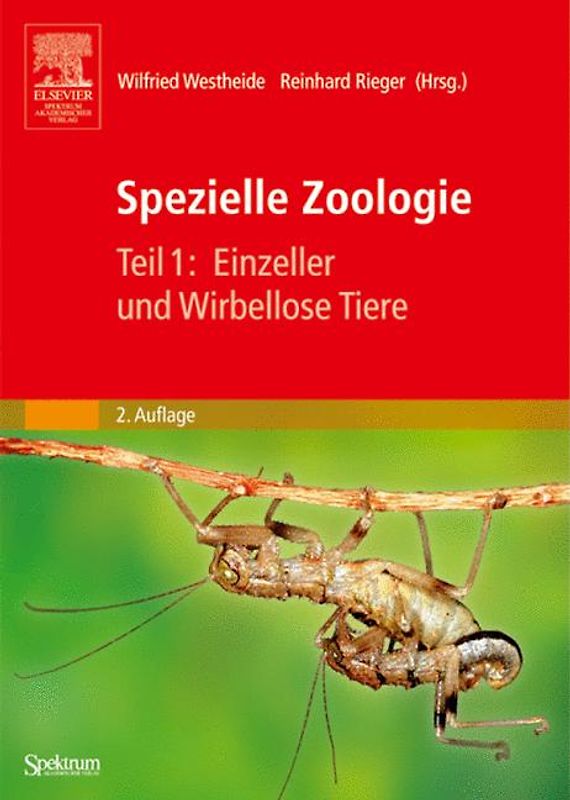 Spezielle Zoologie. Teil 1: Einzeller und Wirbellose Tiere