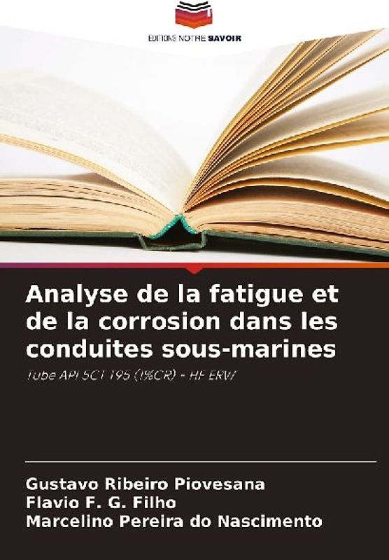 Analyse de la fatigue et de la corrosion dans les conduites sous-marines