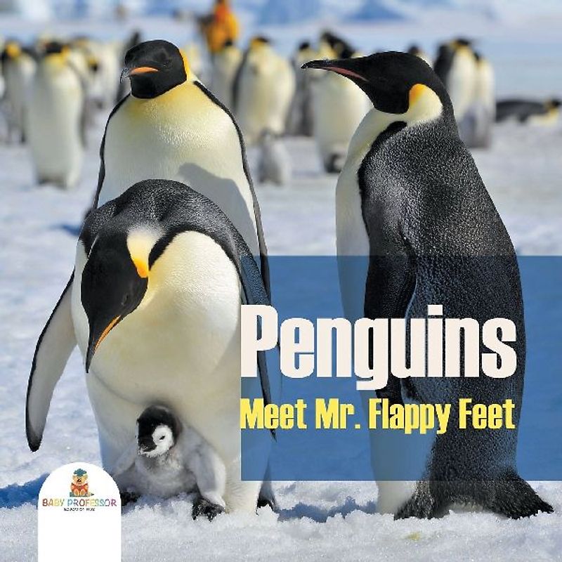Penguins - Meet Mr. Flappy Feet