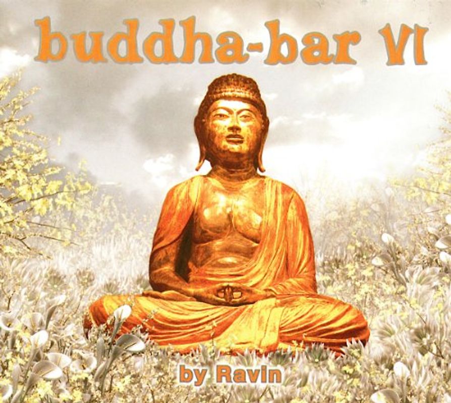Various - Buddha-Bar Vol.6