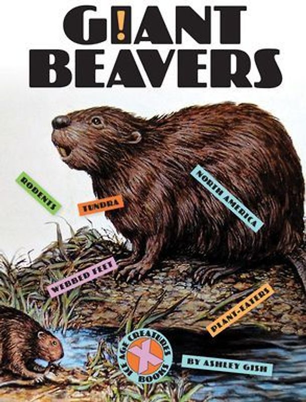 Giant Beavers