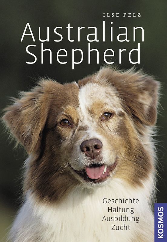 Australian Shepherd