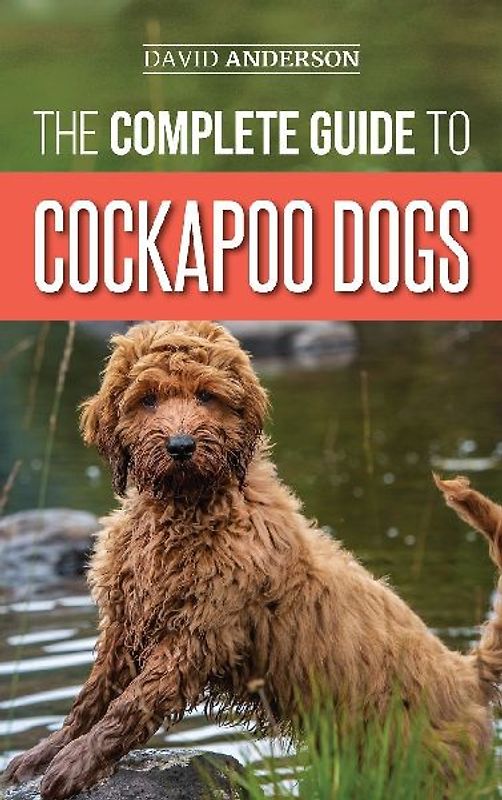 The Complete Guide to Cockapoo Dogs