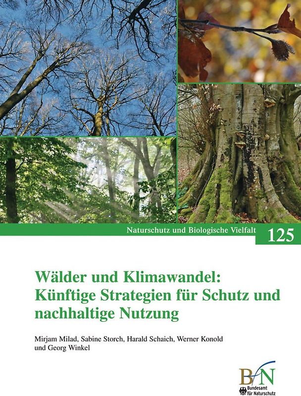 Wälder und Klimawandel: Künftige Strategien für Schutz und nachhaltige Nutzung