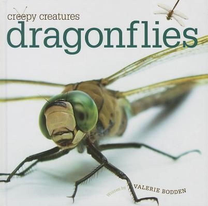 Dragonflies