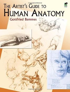 The Artist's Guide to Human Anatomy - Bammes, Gottfried