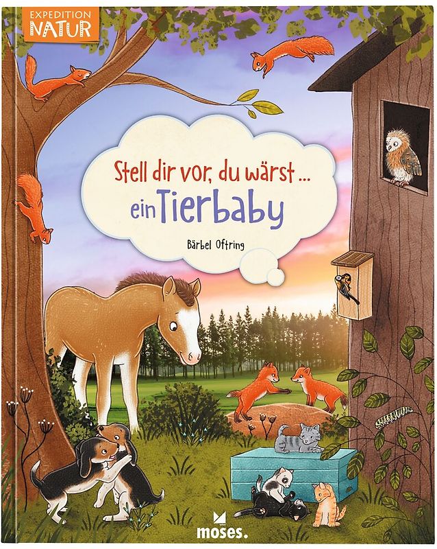 Stell dir vor, du wärst...ein Tierbaby