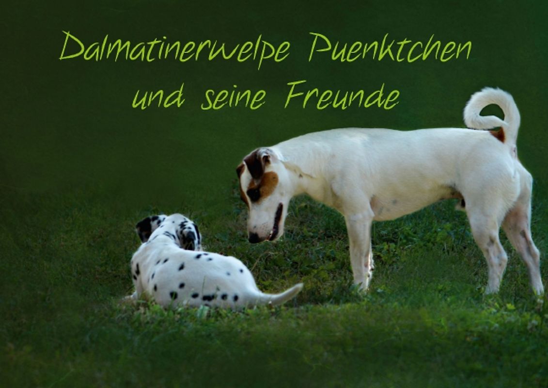 Dalmatinerwelpe Pünktchen und seine Freunde (Posterbuch DIN A4 quer)