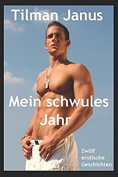 Mein schwules Jahr: Zwölf erotische Geschichten