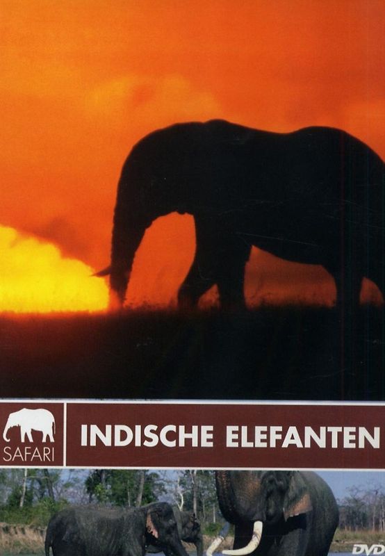 Safari: Indische Elefanten DVD