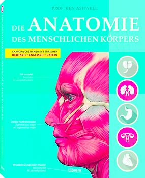 DIE ANATOMIE DES MENSCHLICHEN KÖRPERS