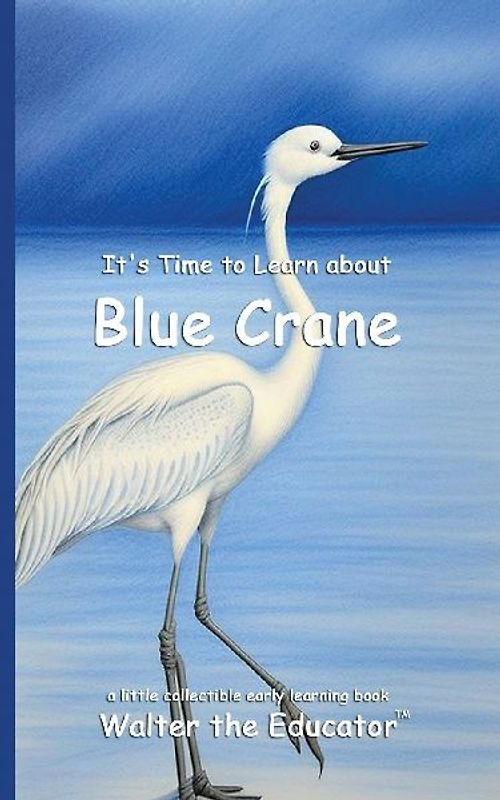 It's Time to Learn about Blue Cranes