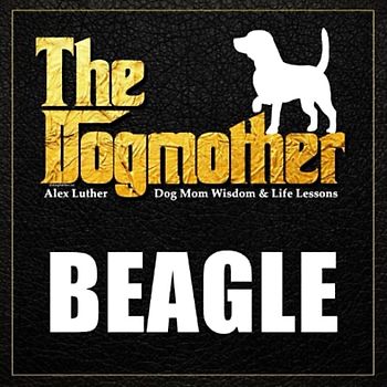 The Dogmother: Beagle: (Dog Mom Wisdom & Life Lessons)