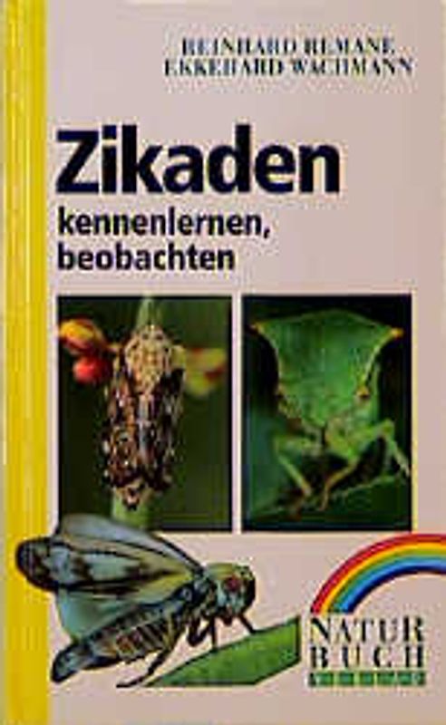 Zikaden. Kennenlernen, beobachten