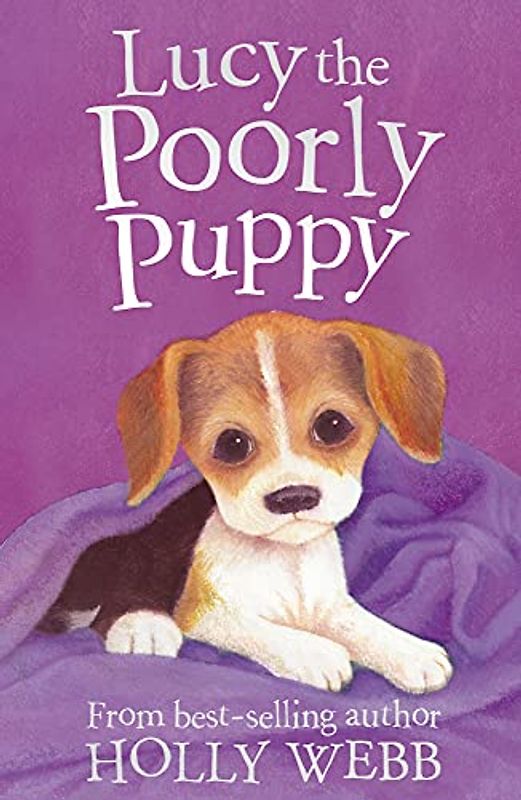 Lucy the Poorly Puppy (Holly Webb Animal Stories, Band 16)