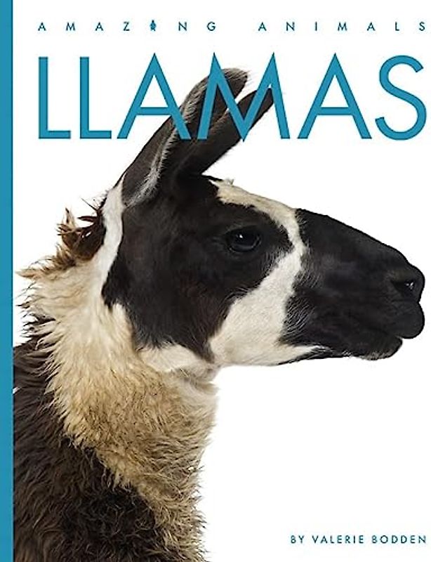 Llamas (Amazing Animals)