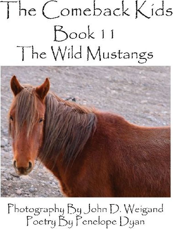 The Comeback Kids--Book 11--The Wild Mustangs