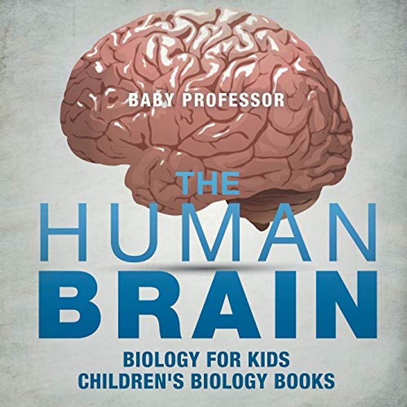 The Human Brain - Biology for Kids Children's Biology Books