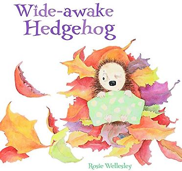 Wide-awake Hedgehog