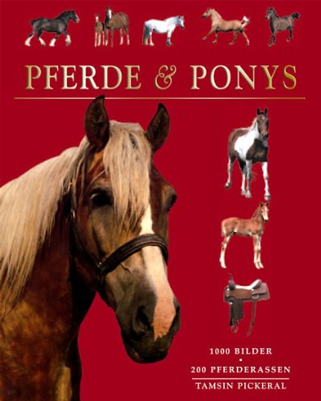 Pferde und Ponys. 200 Pferdedrassen - Tamsin Pickeral