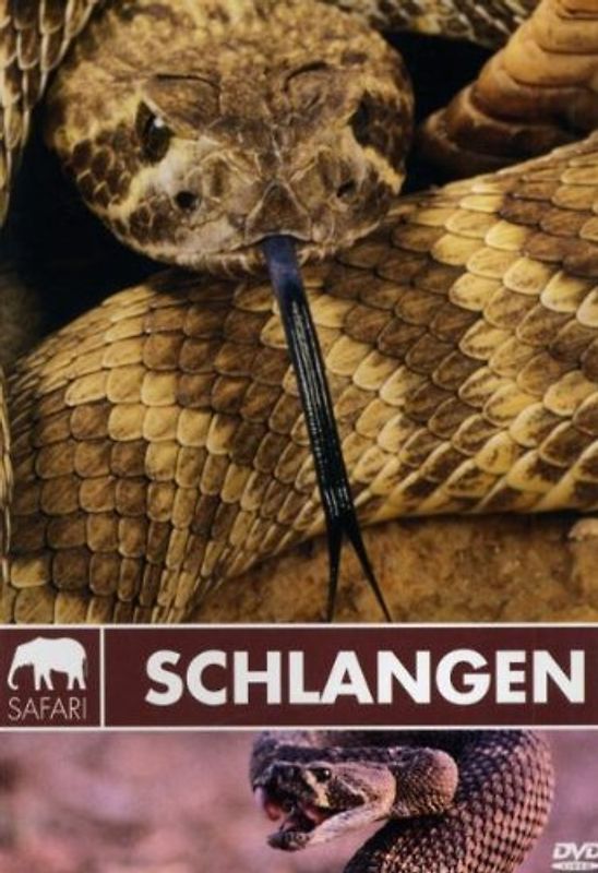 Safari: Schlangen DVD
