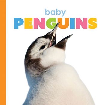 Baby Penguins