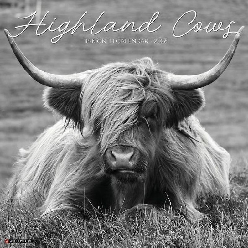 Highland Cows B&w 12 X 12 Wall Calendar