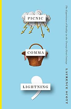 Picnic Comma Lightning: The Experience of Reality in the Twenty-first Century