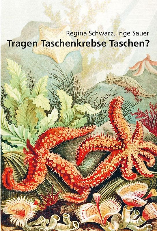 Tragen Taschenkrebse Taschen?