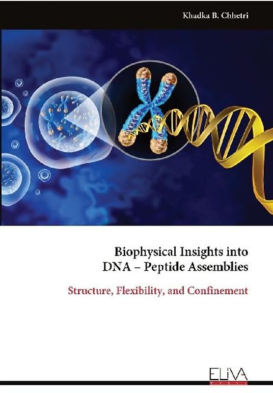 Biophysical Insights into DNA - Peptide Assemblies