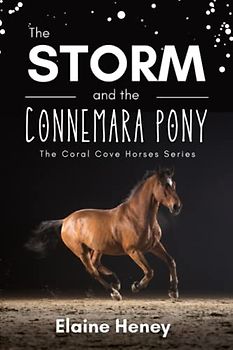 The Storm and the Connemara Pony - The Coral Cove Horses Series (Coral Cove Horse Adventures for Girls and Boys, Band 2)