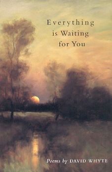 Everything Is Waiting for You - Whyte, David
