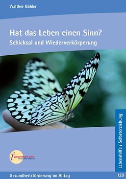Hat das Leben einen Sinn?. Schicksal und Wiederverkörperung
