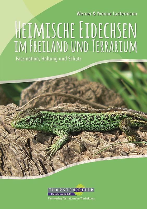 Heimische Eidechsen im Freiland und Terrarium