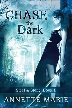 Chase the Dark (Steel & Stone, Band 1)