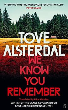 We Know You Remember: The No. 1 International Bestseller (High Coast series)