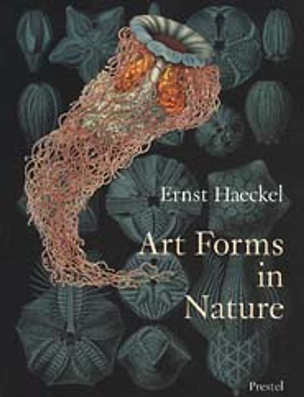 Art Forms in Nature. The Prints of Ernst Haeckel