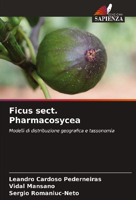 Ficus sect. Pharmacosycea