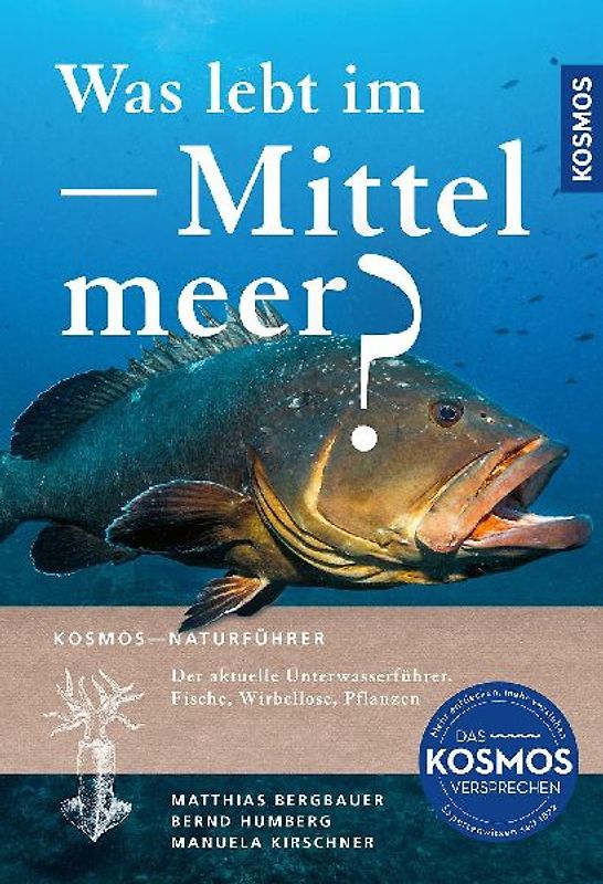 Was lebt im Mittelmeer?