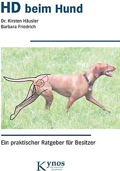 HD beim Hund
