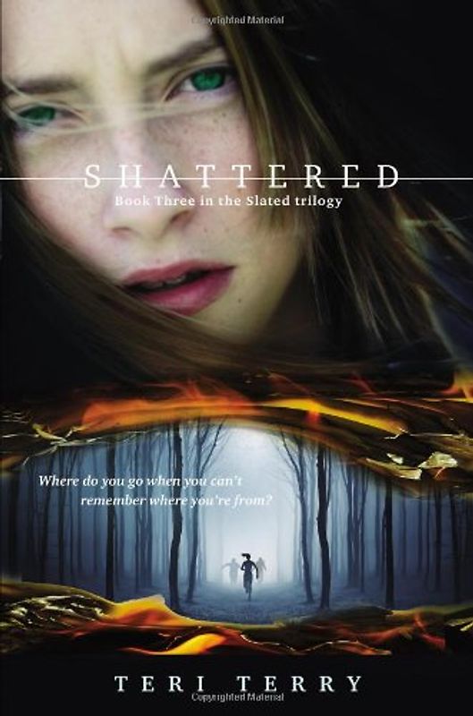 Shattered (Slated) - Terry, Teri