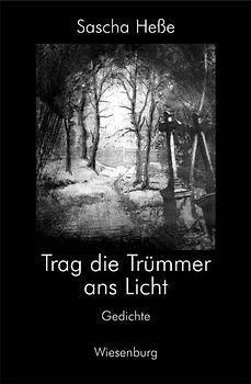 Trag die Trümmer ans Licht