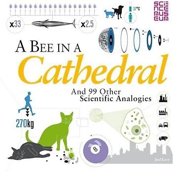 A Bee in a Cathedral: And 99 other scientific analogies