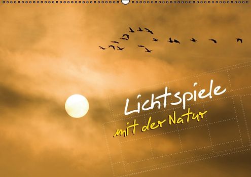 Lichtspiele mit der Natur (PosterbuchDIN A4 quer)