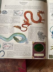 Kundenbild für Expedition in die geheime Welt der Drachen