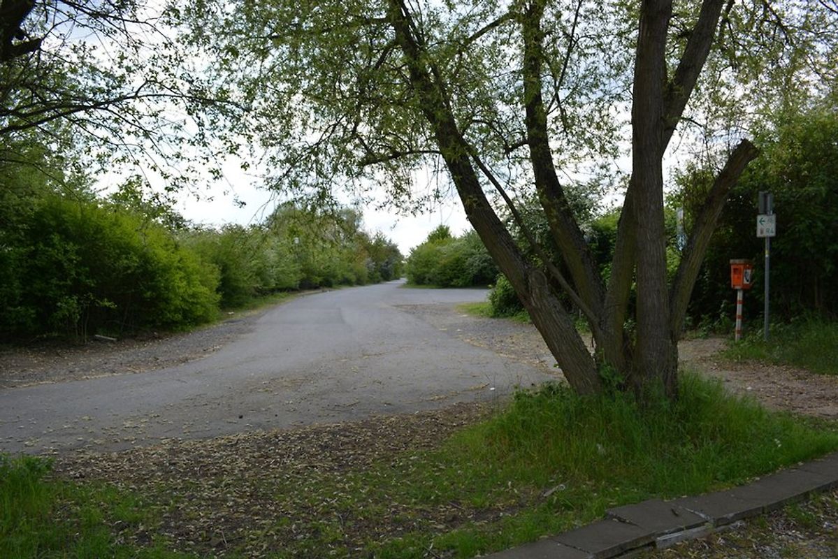 Die Reise zu meinen Eltern