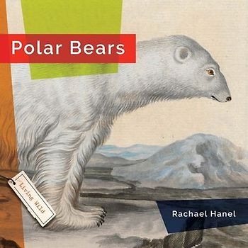 Polar Bears